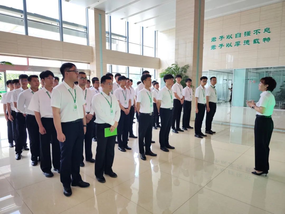 GA黄金甲·(中国区)官方网站