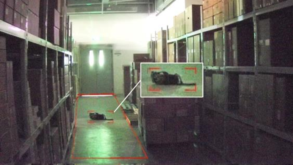 GA黄金甲·(中国区)官方网站