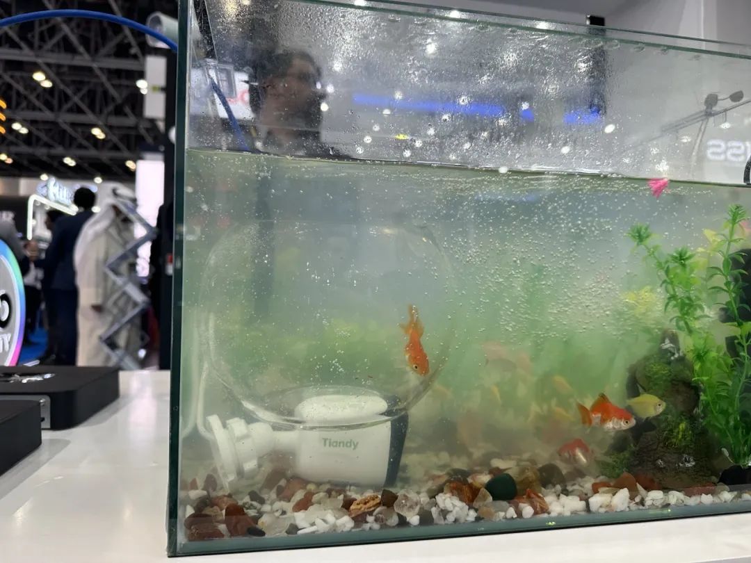 GA黄金甲·(中国区)官方网站