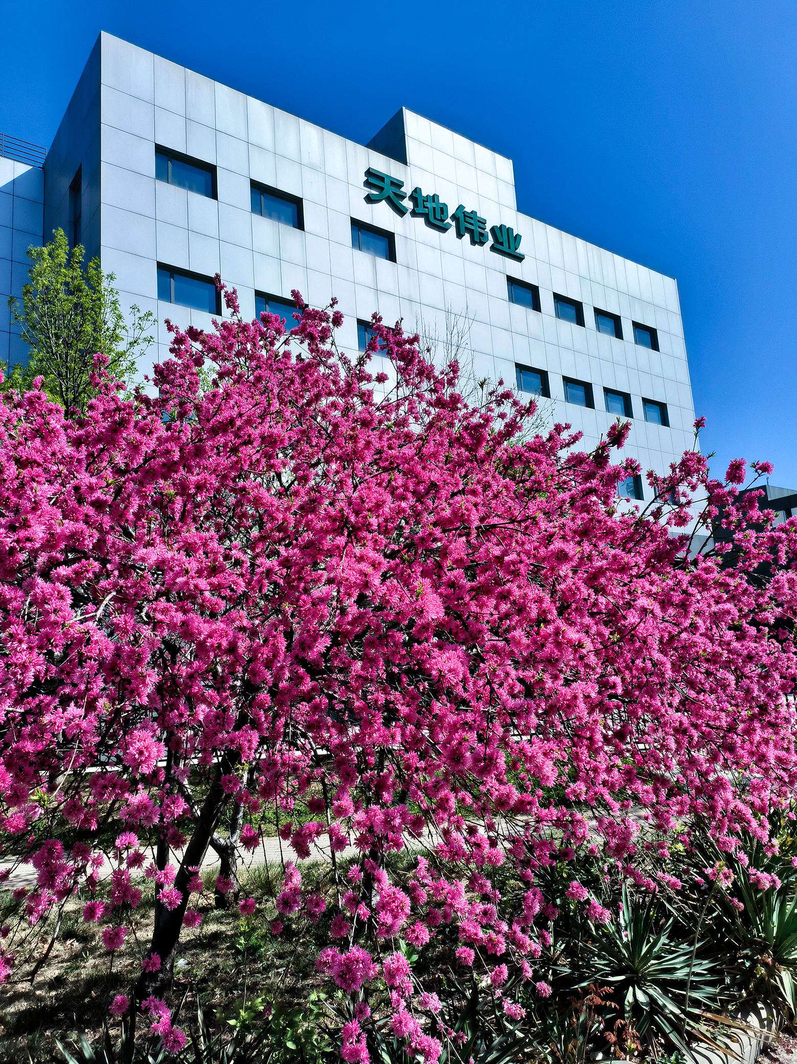 GA黄金甲·(中国区)官方网站