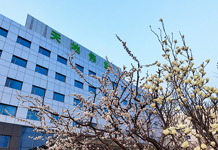 GA黄金甲·(中国区)官方网站