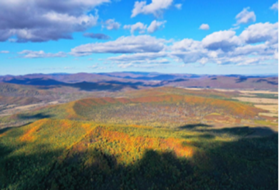 GA黄金甲·(中国区)官方网站