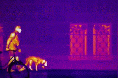 GA黄金甲·(中国区)官方网站