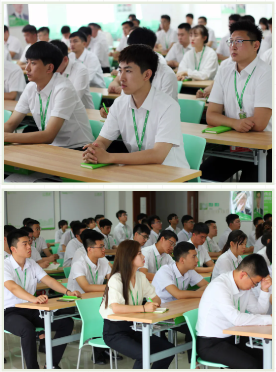 GA黄金甲·(中国区)官方网站