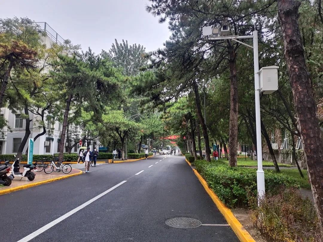 GA黄金甲·(中国区)官方网站